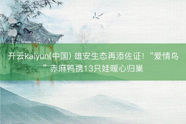 开云kaiyun(中国) 雄安生态再添佐证！“爱情鸟” 赤麻